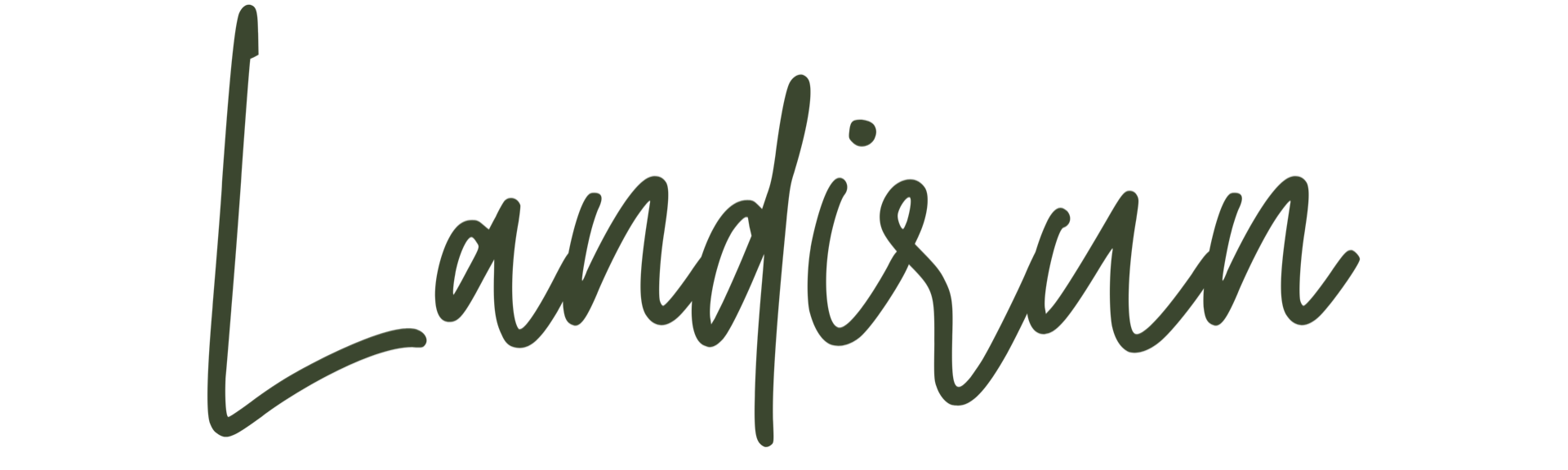 Landirun